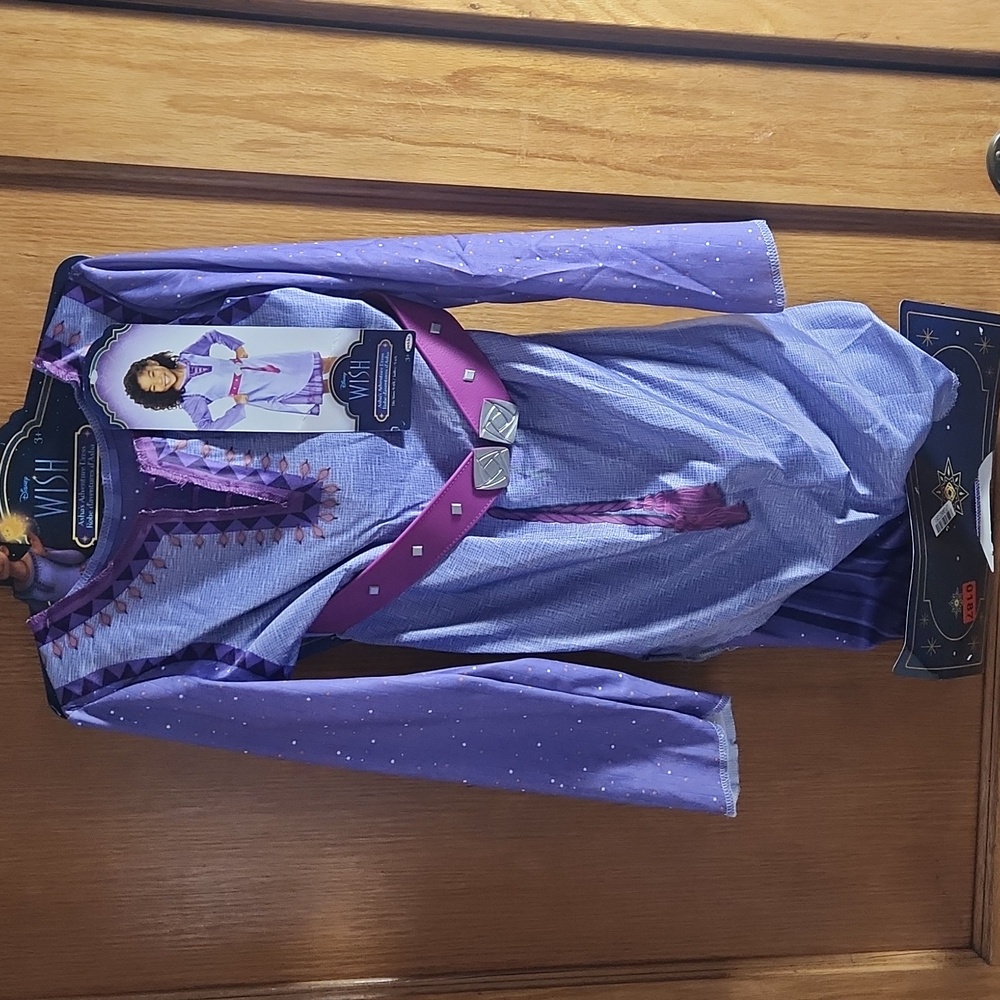 Disney Wish Asha's Adventure Dress